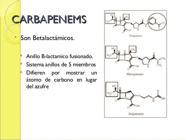carbapenem mecanismo de accion